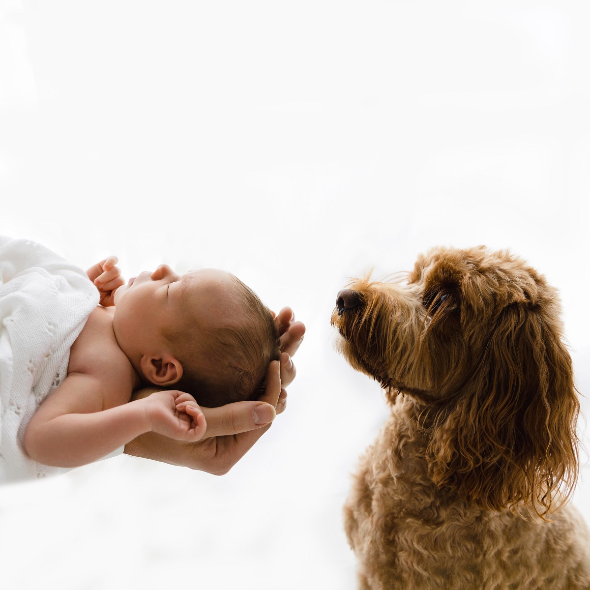 Borehamwood newborn photography by Megan Foster